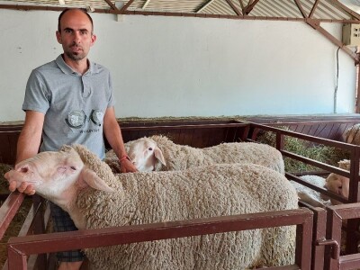 Najbolje ocenjen ovan sajma u Novom Sadu Najbolje ocenjen ovan sajma u Novom Sadu