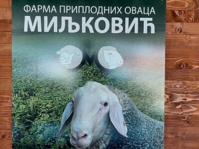 Najbolje ocenjen ovan sajma u Novom Sadu Najbolje ocenjen ovan sajma u Novom Sadu