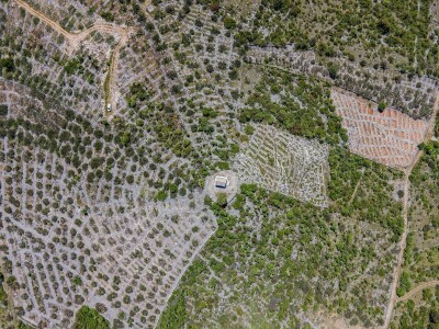 Najbolje ruralne fotografije - RuralFoto 2023.