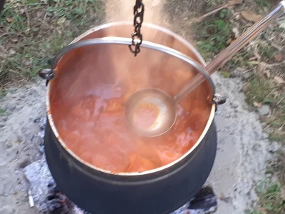 Najbolji fiš