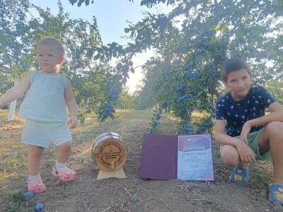 Najbolji mladi voćar Najbolji mladi voćar