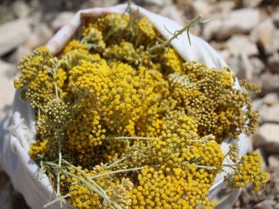 Najfiniji sapuni itd.