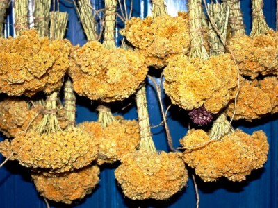 Najfiniji sapuni itd.