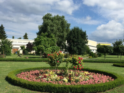 Najljepši školski vrtovi