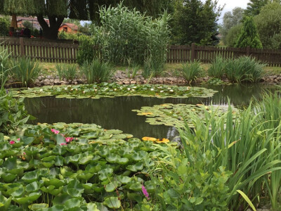 Najljepši školski vrtovi