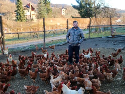 Najmlađi farmer Srebrenice: Zatvorio farmu krava i kupio koke nosilje