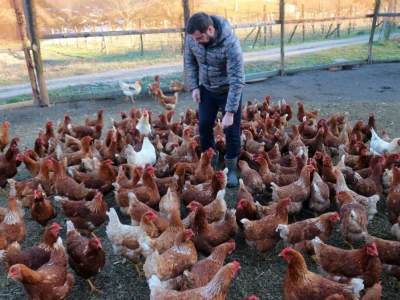 Najmlađi farmer Srebrenice: Zatvorio farmu krava i kupio koke nosilje