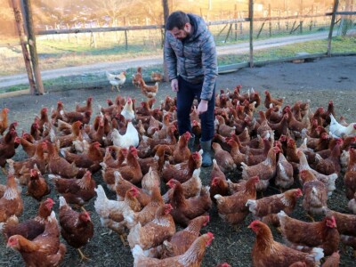 Najmlađi farmer Srebrenice: Zatvorio farmu krava i kupio koke nosilje
