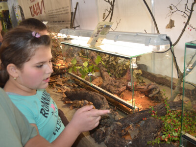 Sajam lova, ribolova prirode i turizma u Varaždinu