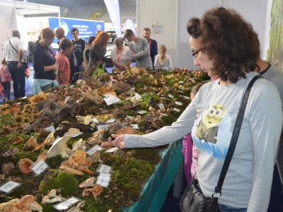 Sajam lova, ribolova prirode i turizma u Varaždinu