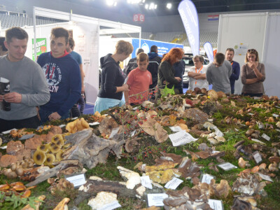 Najposjećeniji dio varaždinskog sajma lova, ribolova i prirode bio je izložbeni gljivarski stol međimurskih gljivara