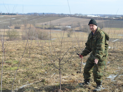 Najpoznatiji bjelovarski šljivar Nenad Horvat ne sumnja da će dobro zaraditi na svojoj novoj plantaži šljiva na jednom hektaru
