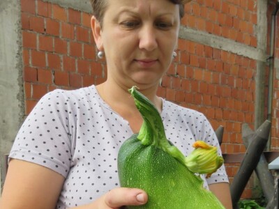 Najranija kruška, neobična trešnja, papežova marelica…