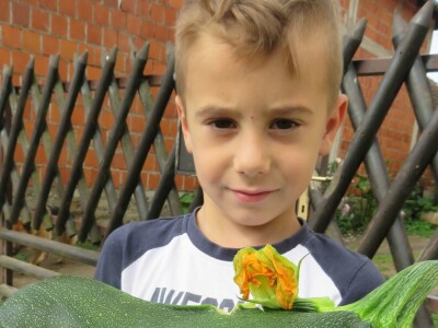 Najranija kruška, neobična trešnja, papežova marelica…