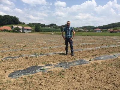 Najtraženija u Bosanskoj krajini: Čutina lubenica i u 2019.