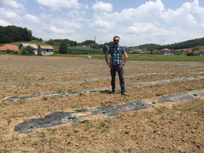 Najtraženija u Bosanskoj krajini: Čutina lubenica i u 2019.