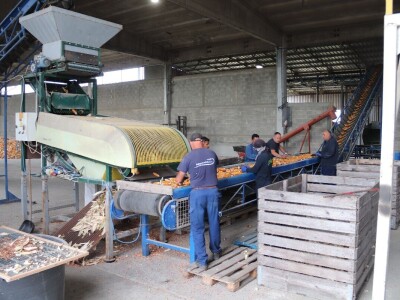 Najveći doradni centar za sjemena u Derventi