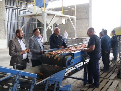 Najveći doradni centar za sjemena u Derventi