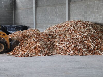 Najveći doradni centar za sjemena u Derventi