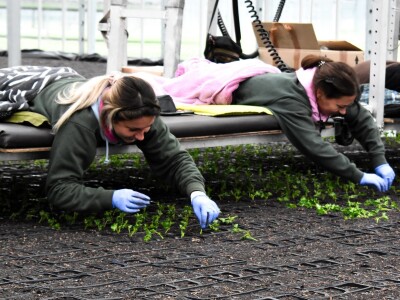 Najveći europski staklenik