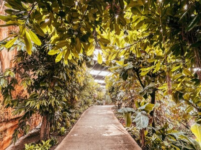 Najveći europski staklenik Najveći europski staklenik