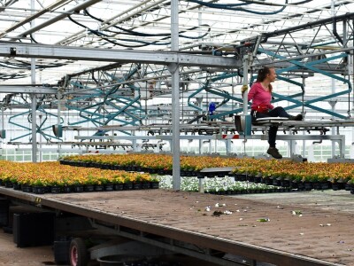 Najveći europski staklenik Najveći europski staklenik