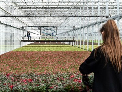 Najveći europski staklenik Najveći europski staklenik