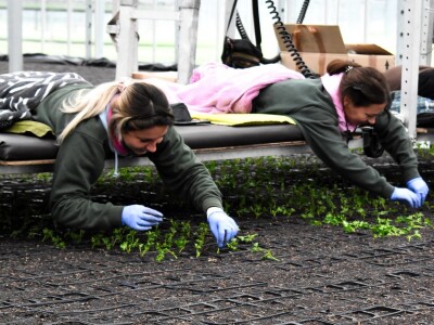 Najveći europski staklenik