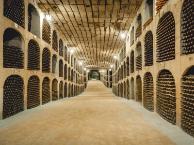 Najveći podrum vina