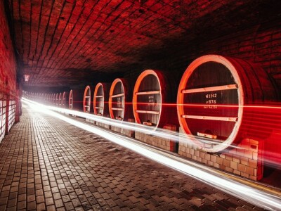 Najveći podrum vina