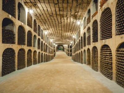 Najveći podrum vina