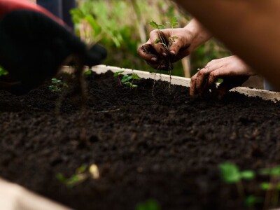 Nakon jedanaest godina novi tečaj permakulturnog dizajniranja u Puli Nakon jedanaest godina novi tečaj permakulturnog dizajniranja u Puli