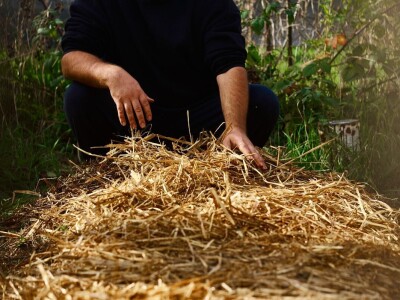 Nakon jedanaest godina novi tečaj permakulturnog dizajniranja u Puli Nakon jedanaest godina novi tečaj permakulturnog dizajniranja u Puli