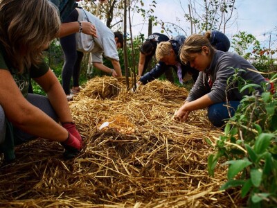 Nakon jedanaest godina novi tečaj permakulturnog dizajniranja u Puli Nakon jedanaest godina novi tečaj permakulturnog dizajniranja u Puli