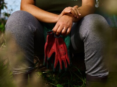 Nakon jedanaest godina novi tečaj permakulturnog dizajniranja u Puli Nakon jedanaest godina novi tečaj permakulturnog dizajniranja u Puli