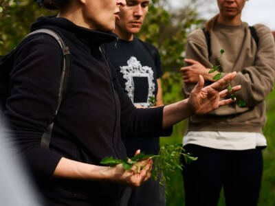 Nakon jedanaest godina novi tečaj permakulturnog dizajniranja u Puli Nakon jedanaest godina novi tečaj permakulturnog dizajniranja u Puli