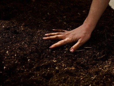 Nakon jedanaest godina novi tečaj permakulturnog dizajniranja u Puli Nakon jedanaest godina novi tečaj permakulturnog dizajniranja u Puli