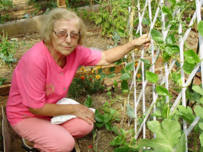 Rado provodi vrijeme radeći u vrtu Rado provodi vrijeme radeći u vrtu