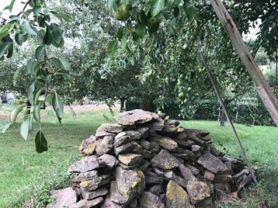 Naomi Bosch Naomi Bosch