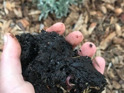 Naomi Bosch Naomi Bosch