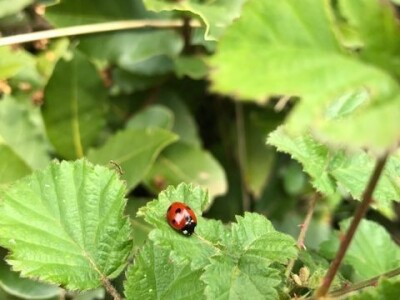 Naomi Bosch Naomi Bosch