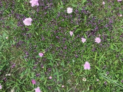 Naomi Bosch Naomi Bosch