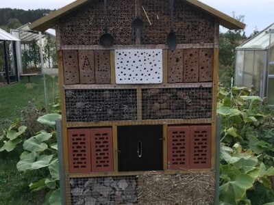 Naomi Bosch Naomi Bosch