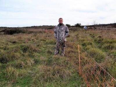 NAPAD VUKOVA  - Nadomak zadarske Kalelerge: Vukovi za blagdane poklali 18 tek ojanjenih janjaca!