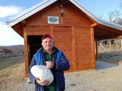 Napravio vodenicu i ostvario životnu želju Napravio vodenicu i ostvario životnu želju