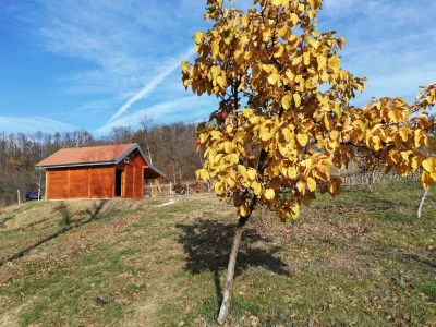 Napravio vodenicu i ostvario životnu želju