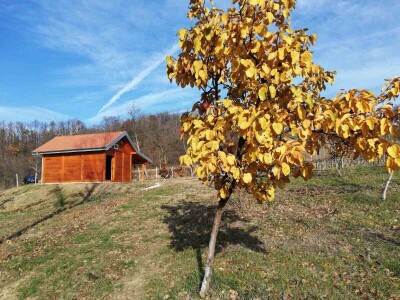Napravio vodenicu i ostvario životnu želju Napravio vodenicu i ostvario životnu želju
