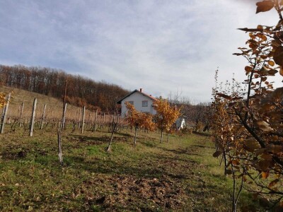 Napravio vodenicu i ostvario životnu želju Napravio vodenicu i ostvario životnu želju