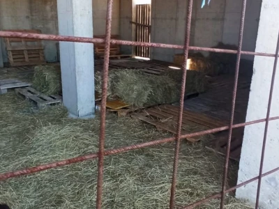Napuštena hladnjača LS Splitsko-dalmatinske županije u Zadvarju