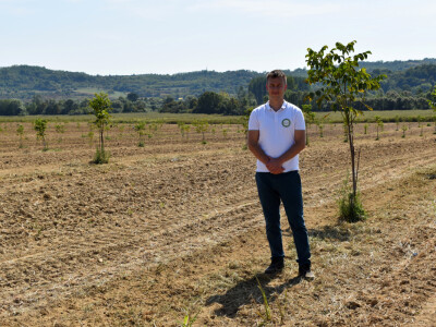 Nasad oraha u Levanjskoj Varoši - Vitalis Nasad oraha u Levanjskoj Varoši - Vitalis